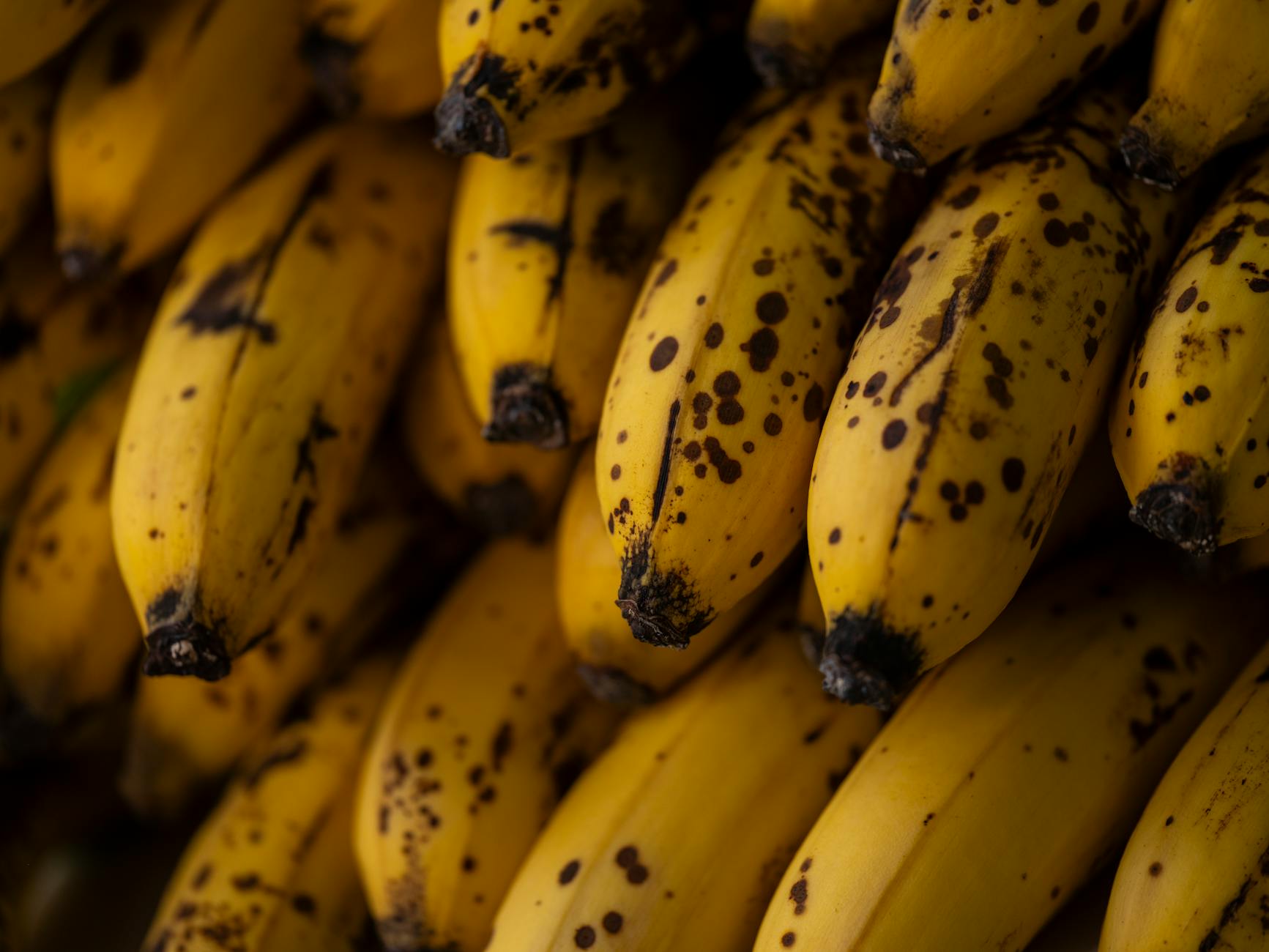 10 Surprising Banana Health Benefits Backed by Science