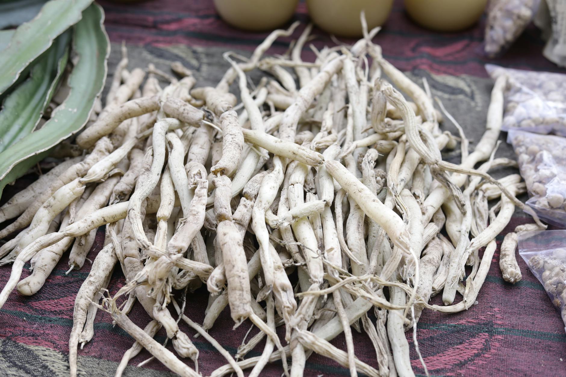 10 Surprising Burdock Root Benefits Backed by Science