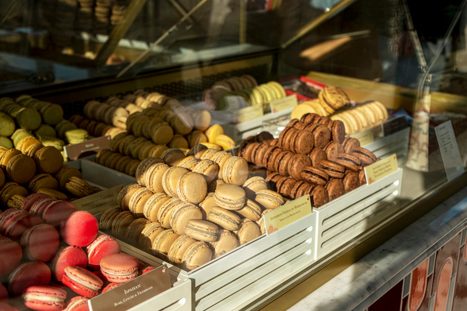 10 Clinical Realities About French Macarons and Your Health