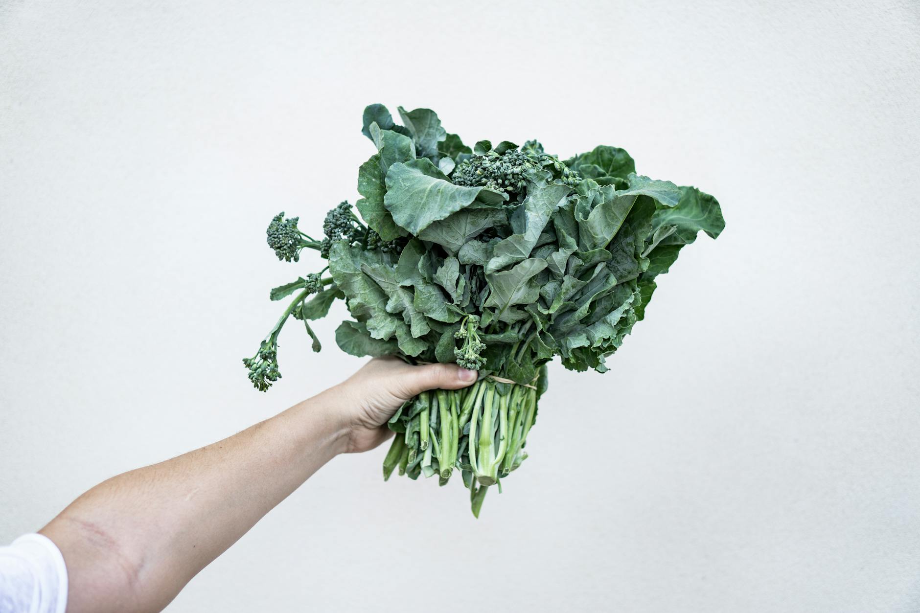 10 Science-Backed Health Benefits of Kale