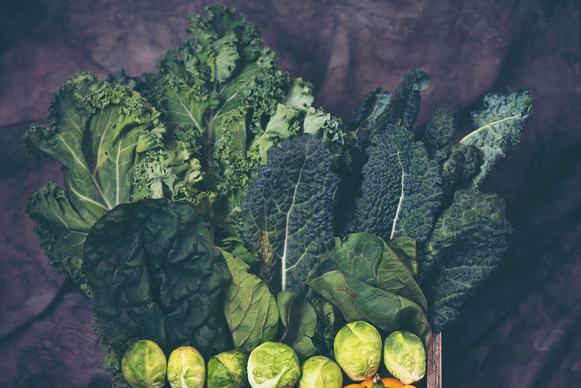 10 Science-Backed Kale Health Benefits You Need to Know