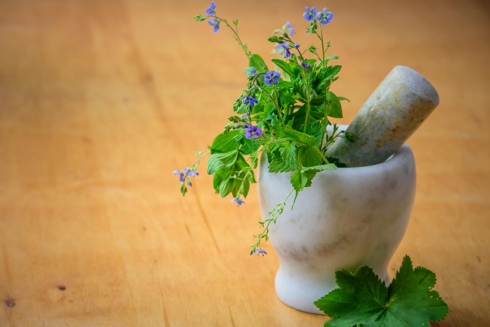 10 Surprising Benefits of Oregano You Should Know