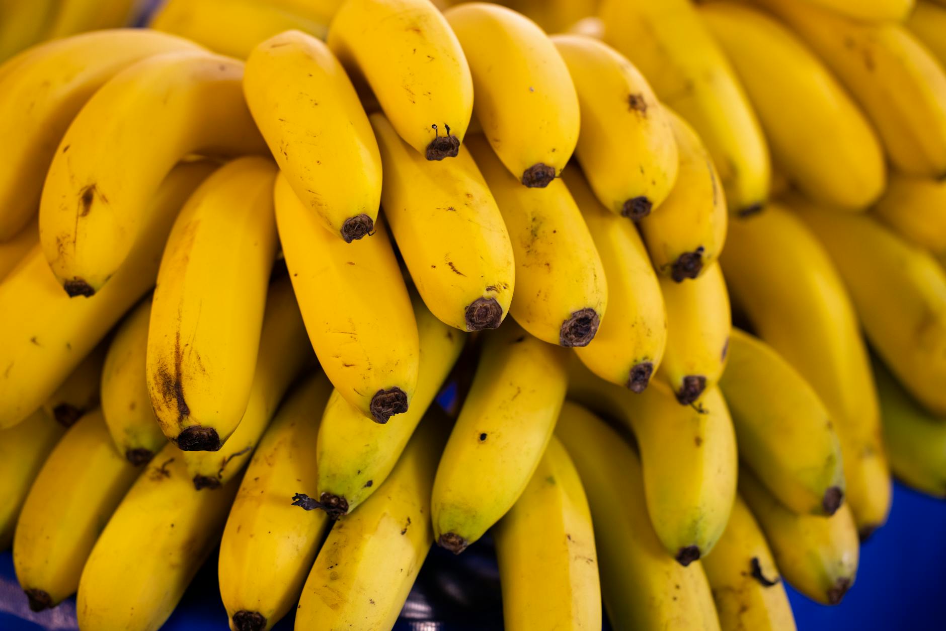 10 Surprising Potassium Foods You Should Eat More Often