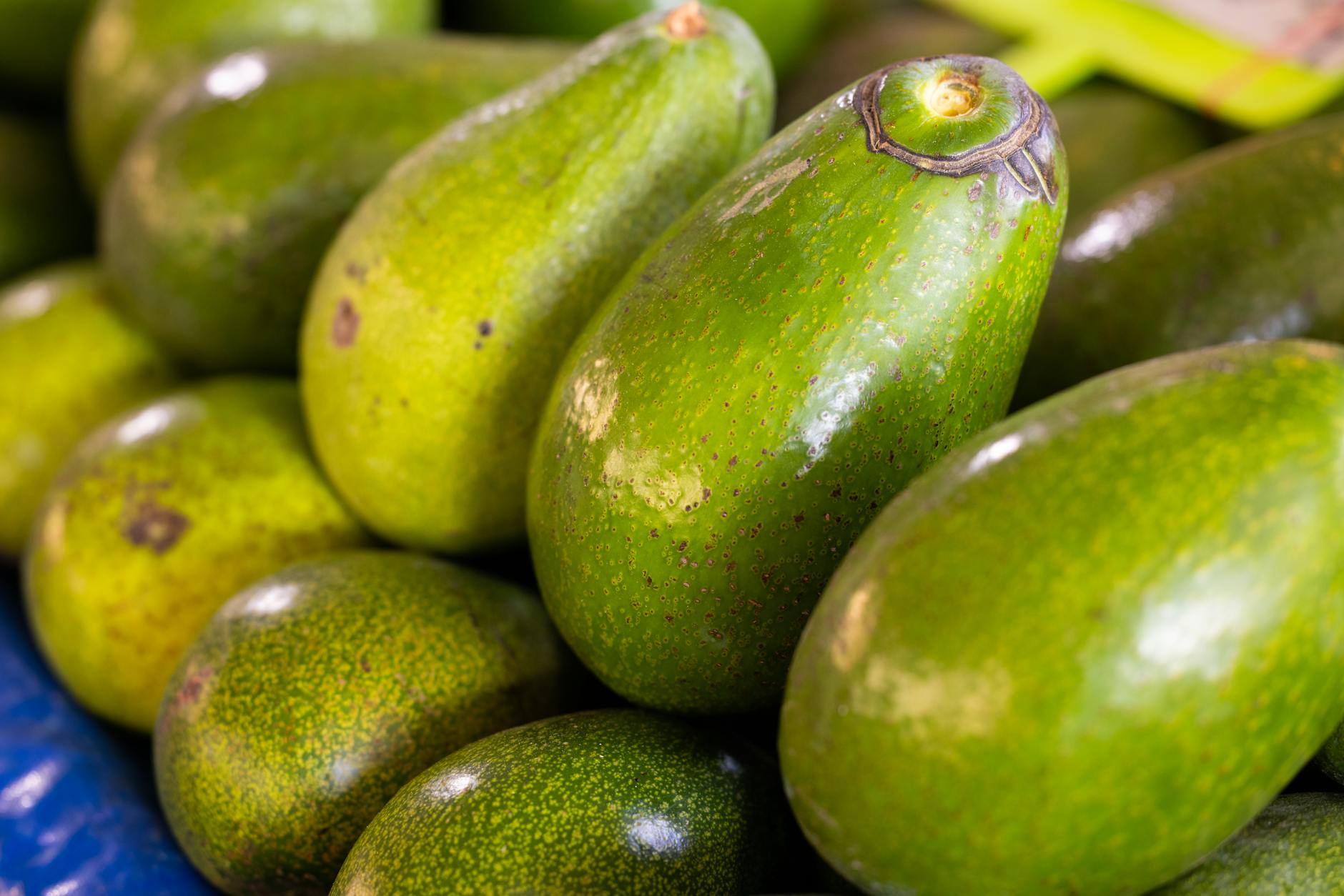 10 Science-Backed Avocado Benefits You Probably Misunderstand