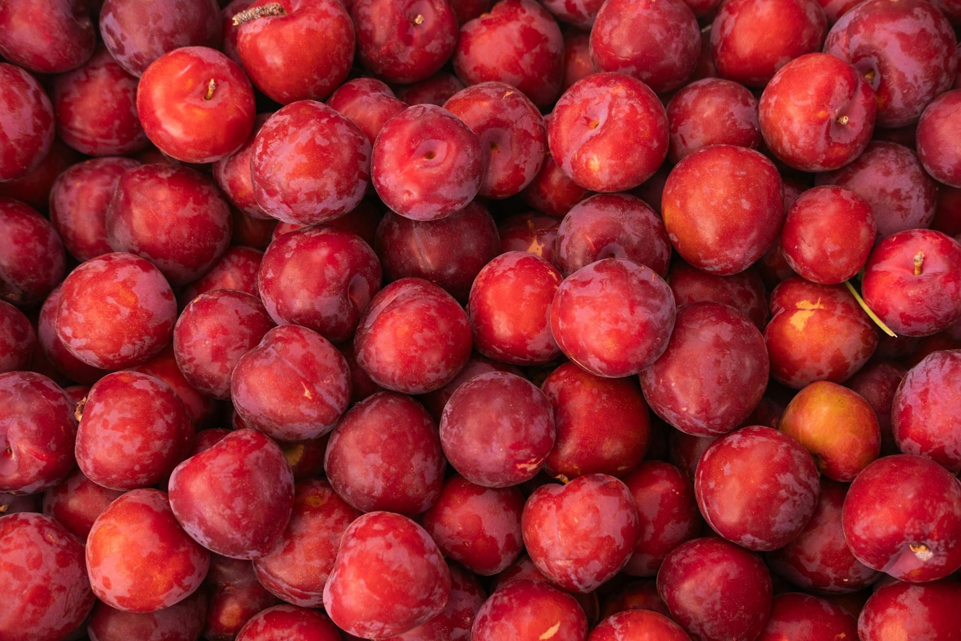 10 Science-Backed Gout Diet Tips to Reduce Flares Naturally