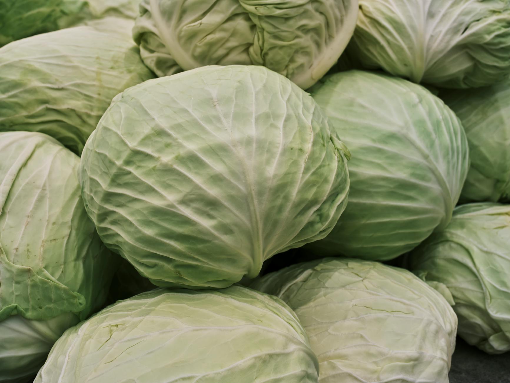 Close-up view of fresh green cabbages piled at a market, emphasizing texture and freshness.